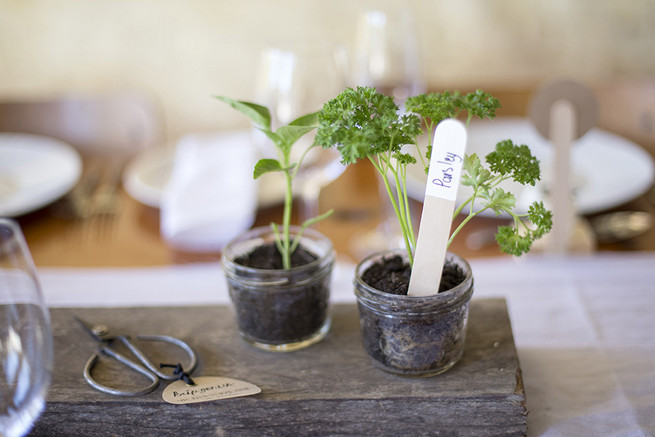 Fresh herbs on table for cutting and decor // Long farmstyle tables with Gold candle holders and herb planters // // Organic Farm Style Karoo Wedding // christine Le Roux Photography