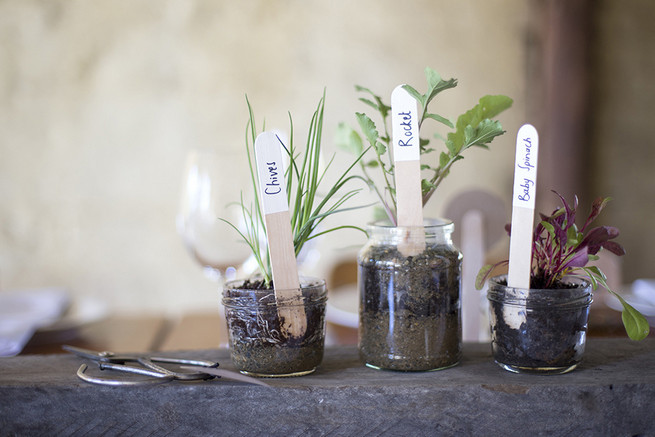 Fresh herbs on table for cutting and decor // Long farmstyle tables with Gold candle holders and herb planters // // Organic Farm Style Karoo Wedding // christine Le Roux Photography
