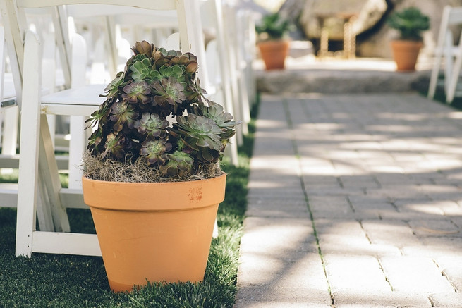 Rustic Nevada Wedding Ceremony with succulents // Lauren Lindley Photography