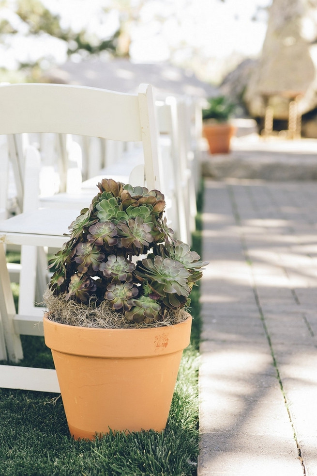 Rustic Nevada Wedding Ceremony with succulents // Lauren Lindley Photography