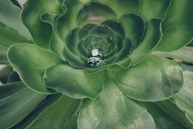 Rustic Nevada Wedding Ceremony with succulents // Lauren Lindley Photography