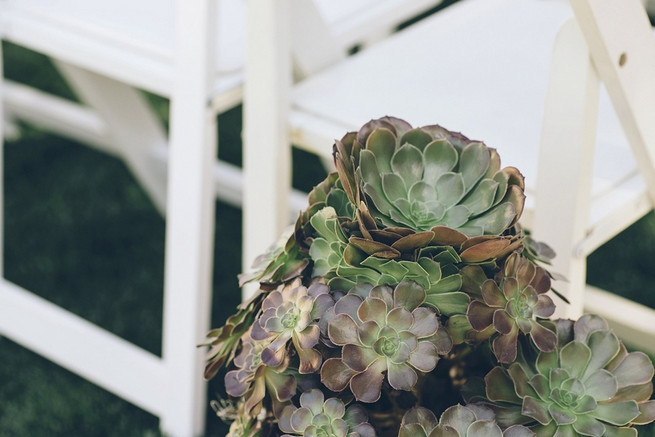 Rustic Nevada Wedding Ceremony with succulents // Lauren Lindley Photography