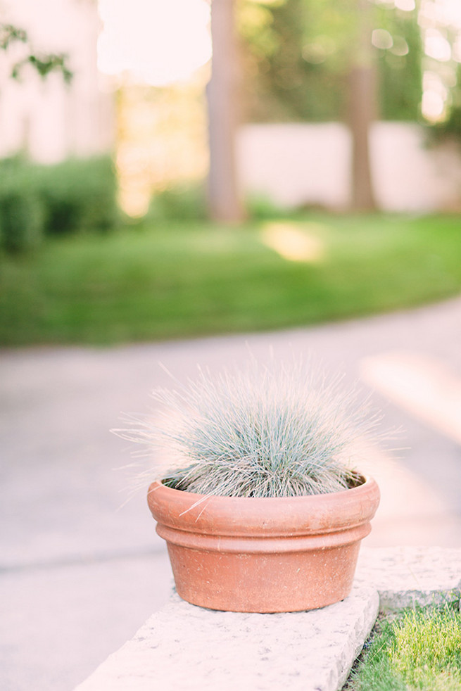 Elegant Milwaukee Wedding Valo Photography