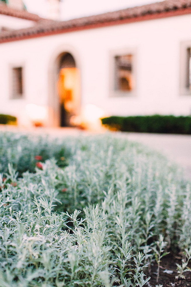 Elegant Milwaukee Wedding Valo Photography