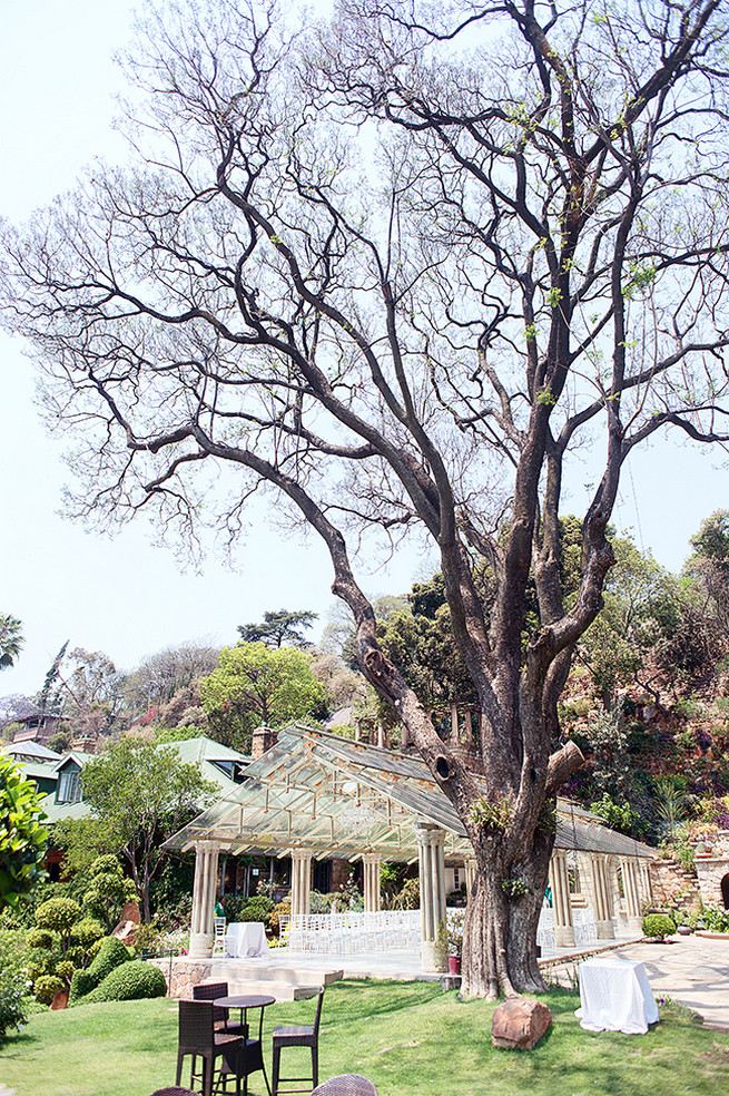 Johannesburg Wedding Shepstone Gardens (53)