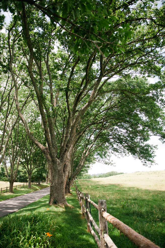 Ash lawn-highland wedding / Meredith McKee Photography