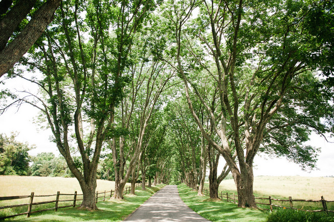 Ash lawn-highland wedding / Meredith McKee Photography