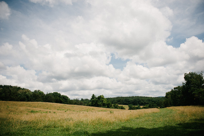 Ash lawn-highland wedding / Meredith McKee Photography