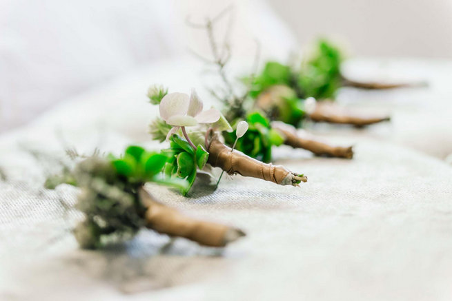 succulent boutonniere / Langkloof Roses Wedding, Cape Town - Claire Thomson Photography