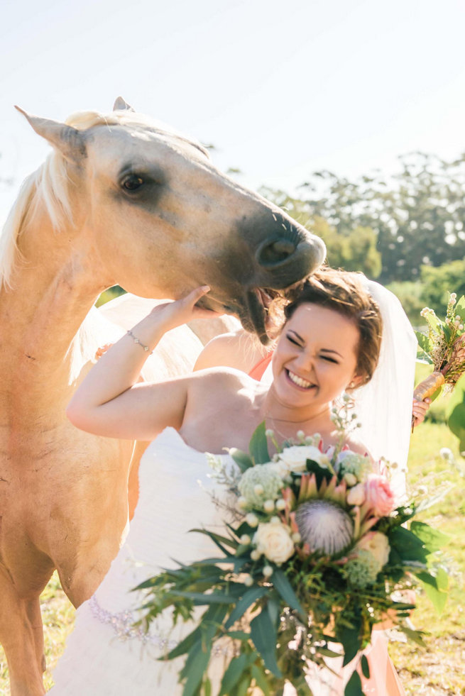 Bride and horse cute photo // / Langkloof Roses Wedding, Cape Town - Claire Thomson Photography