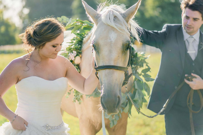 Bride and groom with horse // Langkloof Roses Wedding, Cape Town - Claire Thomson Photography