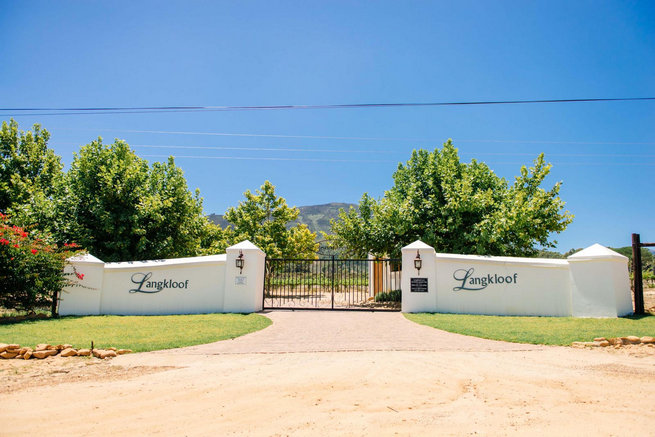 Langkloof Roses Wedding, Cape Town - Claire Thomson Photography