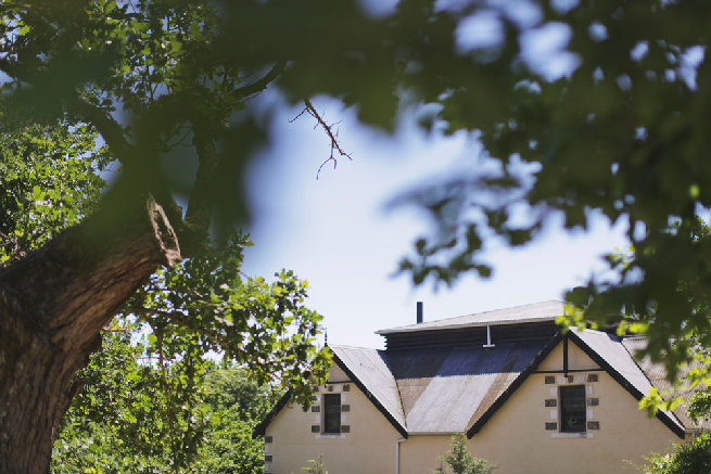 Langverwagt Wedding - Justin Davis Photography