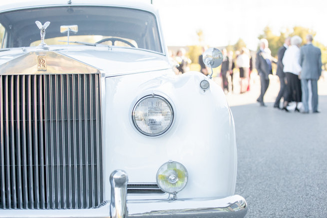 Vintage-Inspired White Glamorous Wedding Wedding - Haley Photography