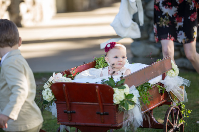 Ringbearer carrying flower girl in floral cart - love this!  - Beautiful Burgundy and Tan Wedding - Molinski Photo