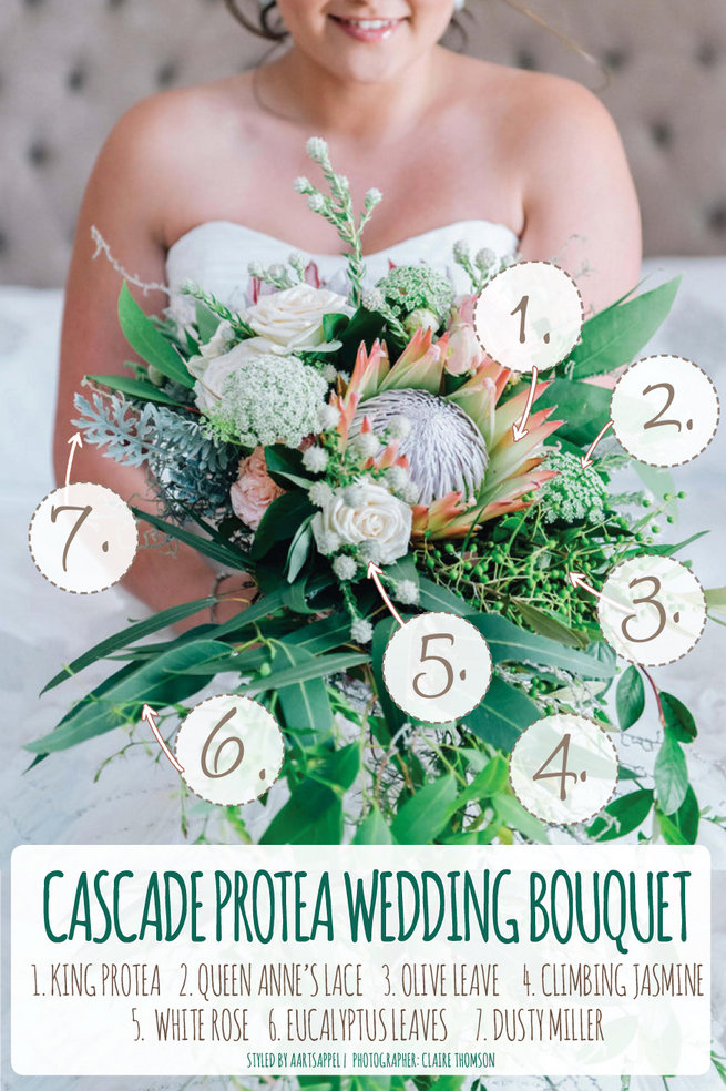 Cascading Protea Bouquet Recipe: King Protea, Queen Annes Lace, Climbing Jasmine Vines, Eucaltyptus and more. Full recipe in article. Photo by Claire Thomson, design by Aartsappel