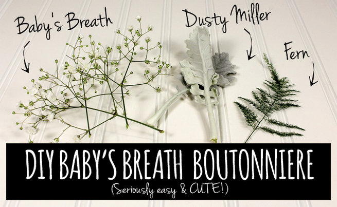 Easy DIY Babys Breath Boutonniere Tutorial