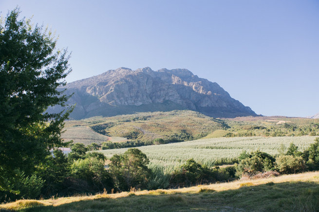 Tulbagh Wedding/ Jenni Elizabeth Photography. www.confettidaydreams.com/tulbagh-wedding