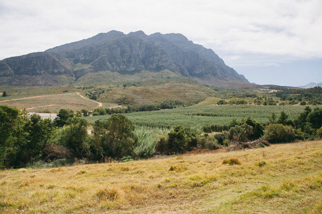 Tulbagh Wedding/ Jenni Elizabeth Photography. www.confettidaydreams.com/tulbagh-wedding