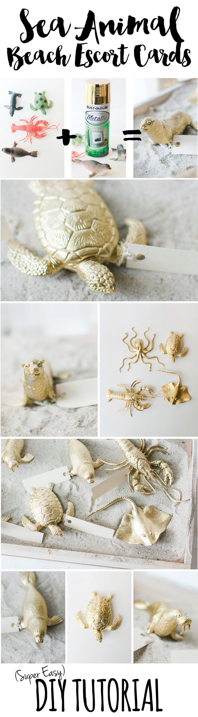 DIY Beach Wedding Escort Cards 