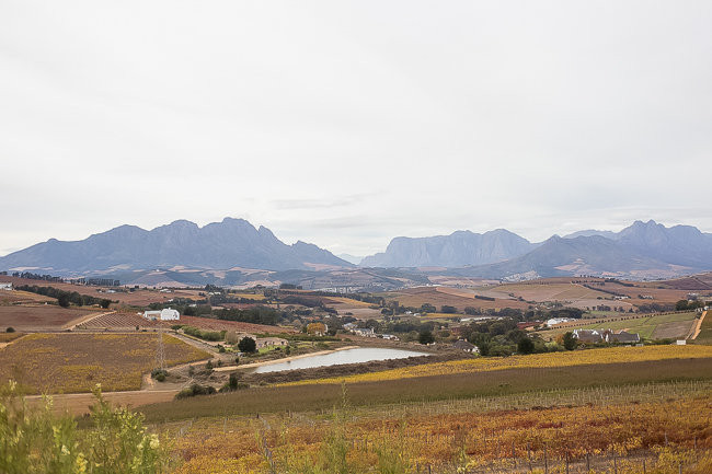 Landtscap Wedding - Adele Kloppers Photography