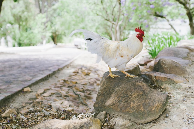 Whimsical Flower Farm Wedding - Claire Thomson Photography