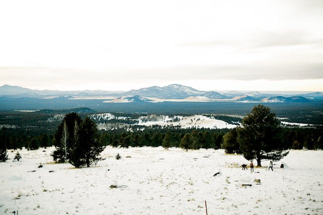 Winter Bride Ideas - Ashley Rae Photography