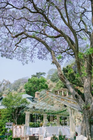 Romantic Johannesburg Garden Wedding - Mighty Fine Productions