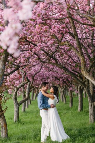 Apple Blossom Engagement Photographs in Ottawa. Photography: Grace & Gold Studio