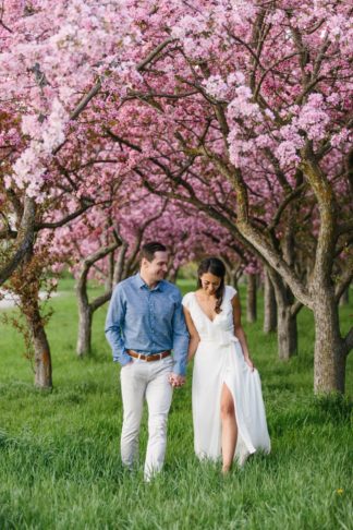 Apple Blossom Engagement Photographs in Ottawa. Photography: Grace & Gold Studio