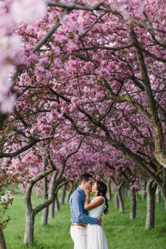 Apple Blossom Engagement Photographs in Ottawa. Photography: Grace & Gold Studio