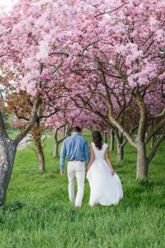 Apple Blossom Engagement Photographs in Ottawa. Photography: Grace & Gold Studio