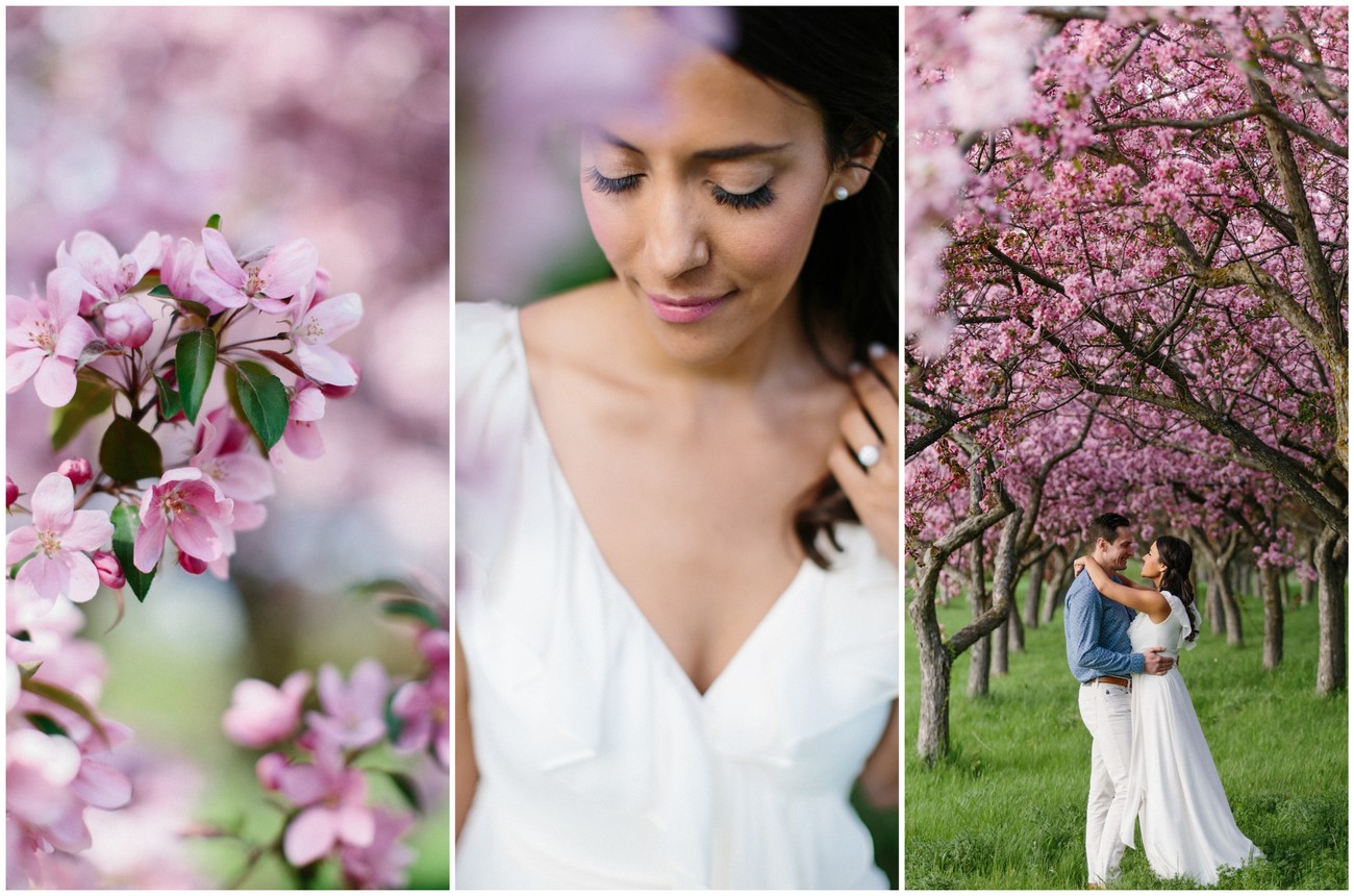 Apple Blossom Engagement Photographs in Ottawa. Photography: Grace & Gold Studio