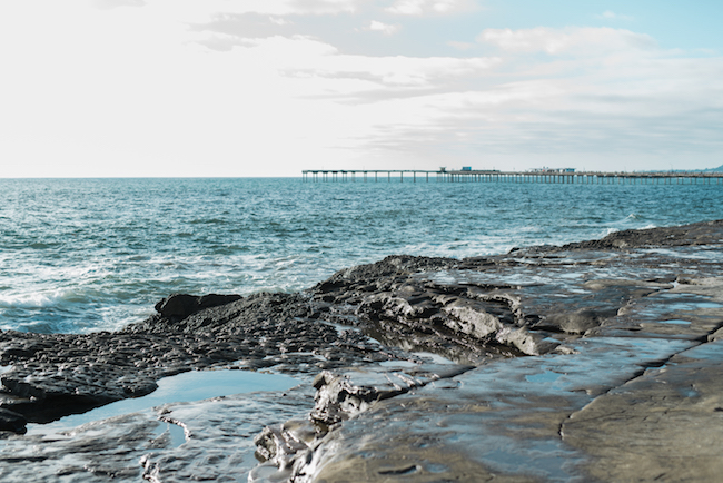 Sunset Cliffs Beach Wedding