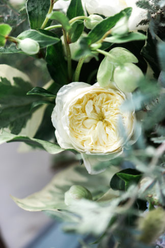 Sunset Cliffs Beach Wedding