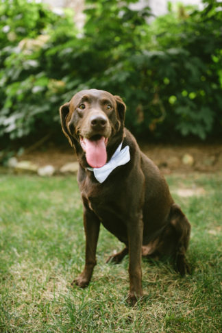 Burritt on the Mountain Wedding {Jett Walker Photography}