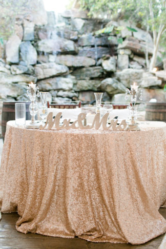 Champagne and Blush Wedding