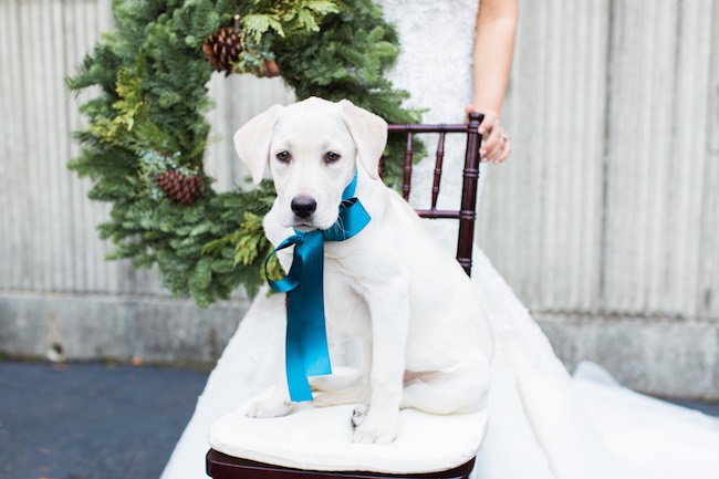 Natural Winter Holiday Wedding Ideas in Green