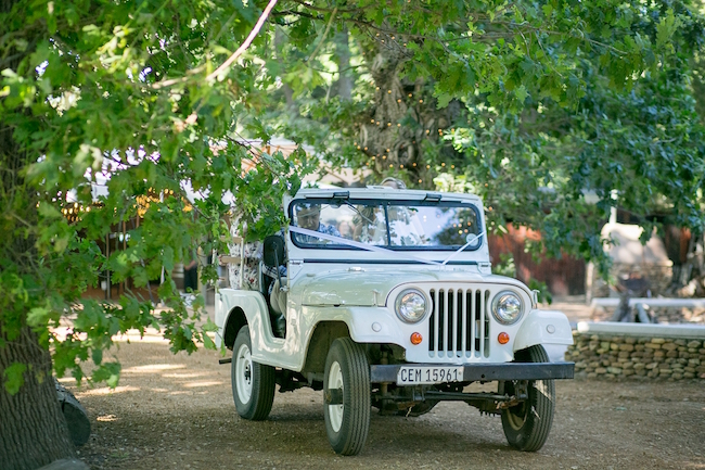 Forest Wedding at Beloftebos Stanford