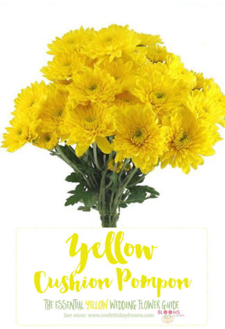 Light Yellow Flowers - Yellow Pompon