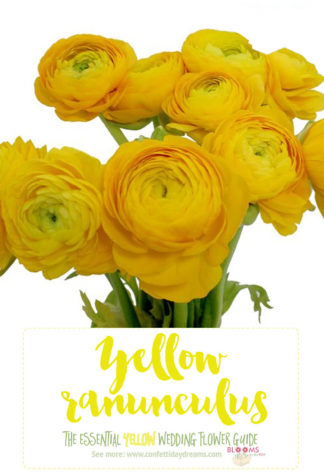 Light Yellow Flowers - Yellow Ranunculus