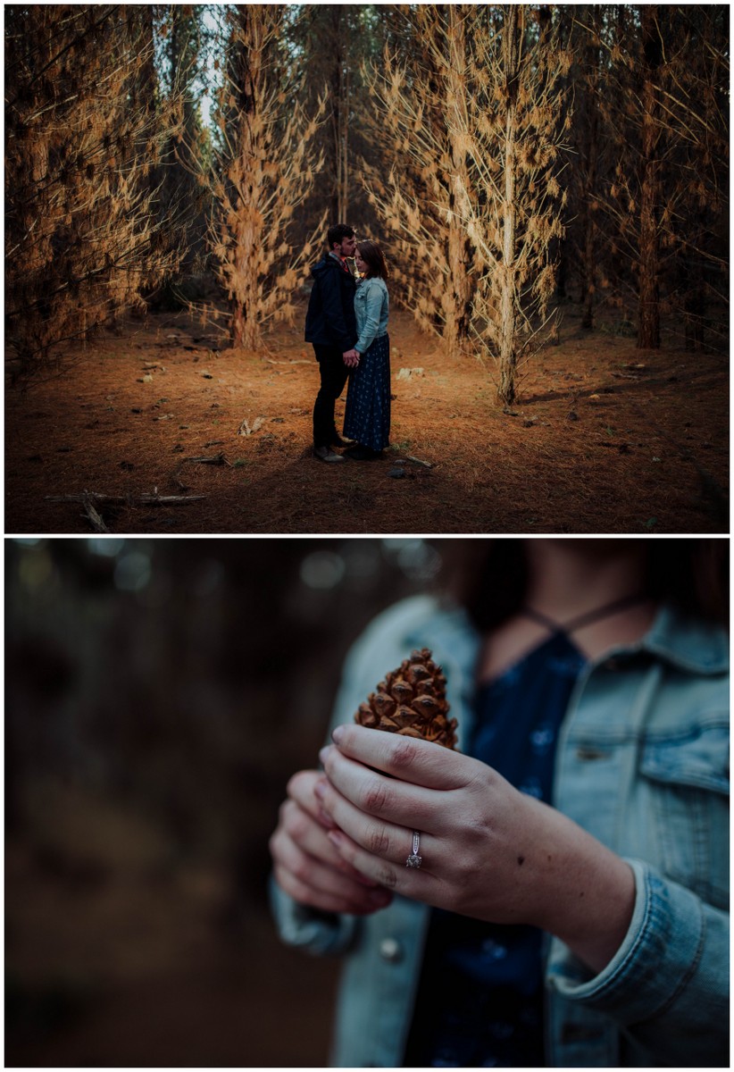 Australian Southern Highlands sunset forest engagement photographs