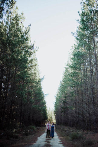 Australian Southern Highlands sunset forest engagement photographs