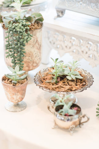 Pretty Greenery and Succulent Wedding