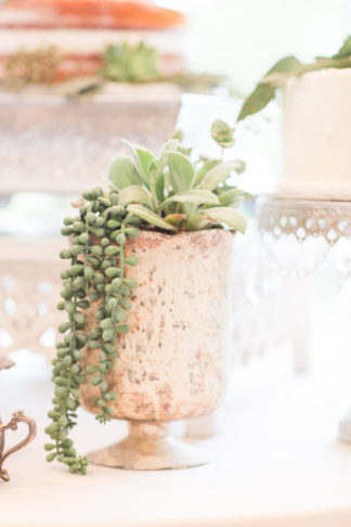 Pretty Greenery and Succulent Wedding