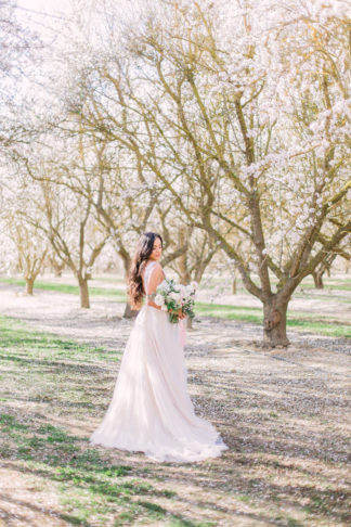 Almond Orchard Wedding Ideas