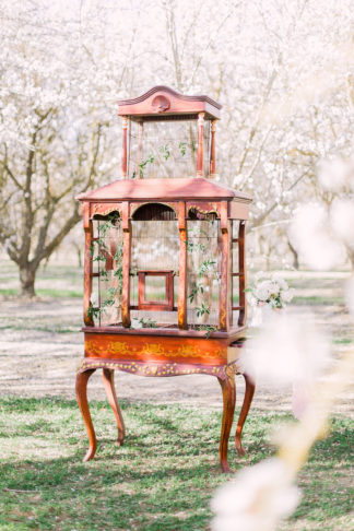 Almond Orchard Wedding Ideas