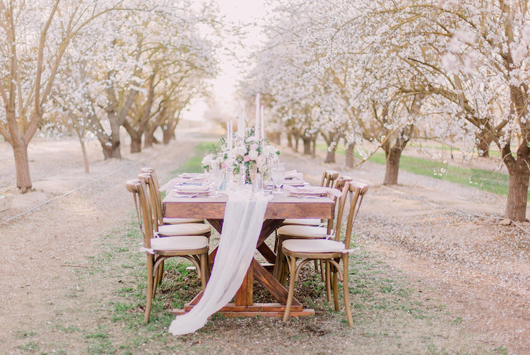 Almond Orchard Wedding Ideas