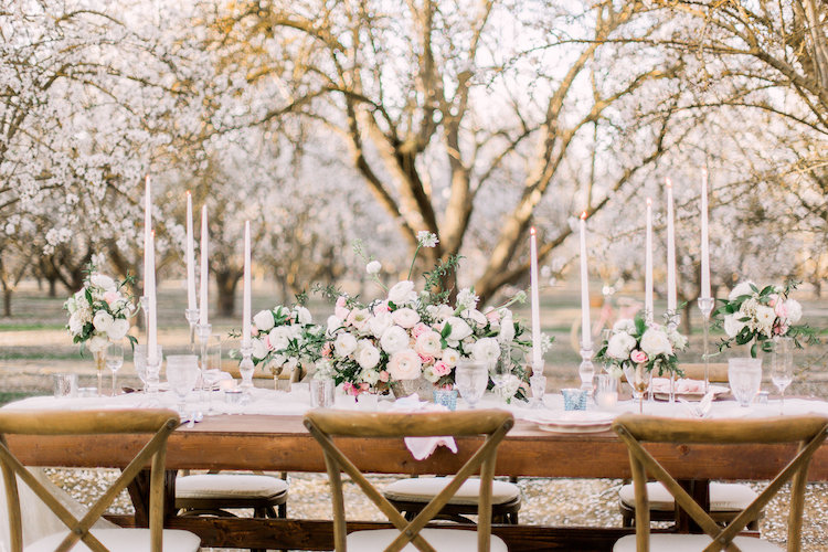 Almond Orchard Wedding Ideas