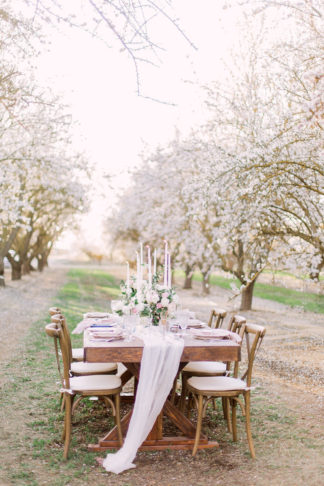 Almond Orchard Wedding Ideas